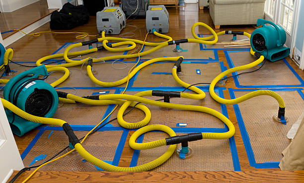 Professional Sewage Cleanup technician working in Sutton, NE